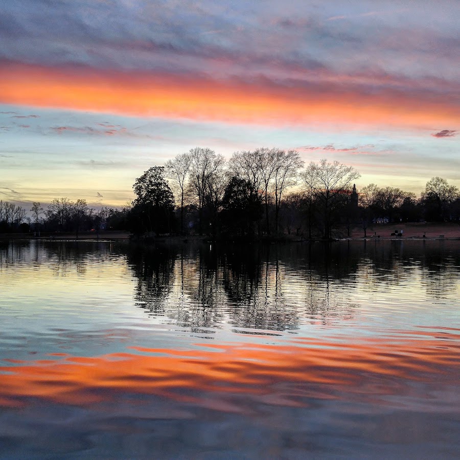 Swan Lake