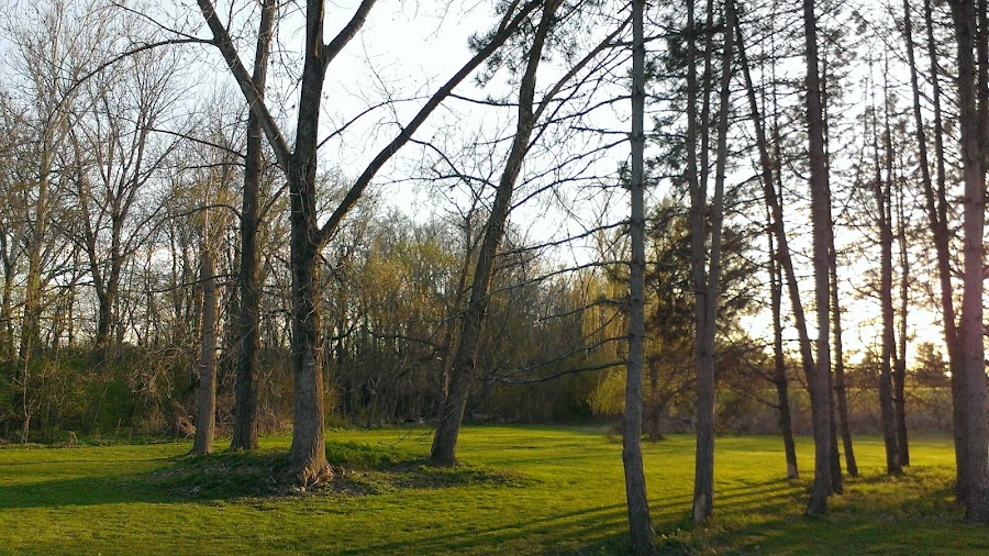 Frank O. Hazard Arboretum