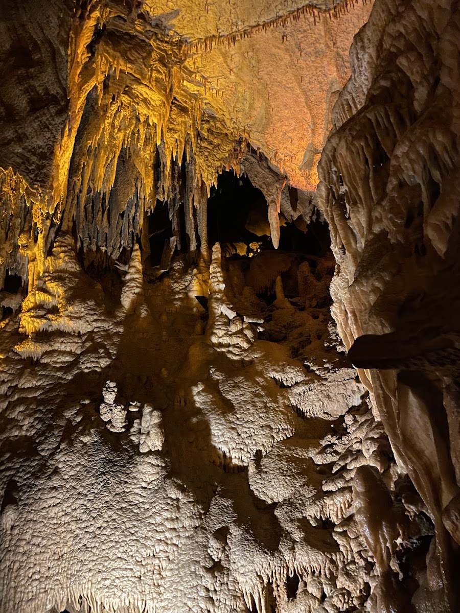 Mammoth Cave National Park