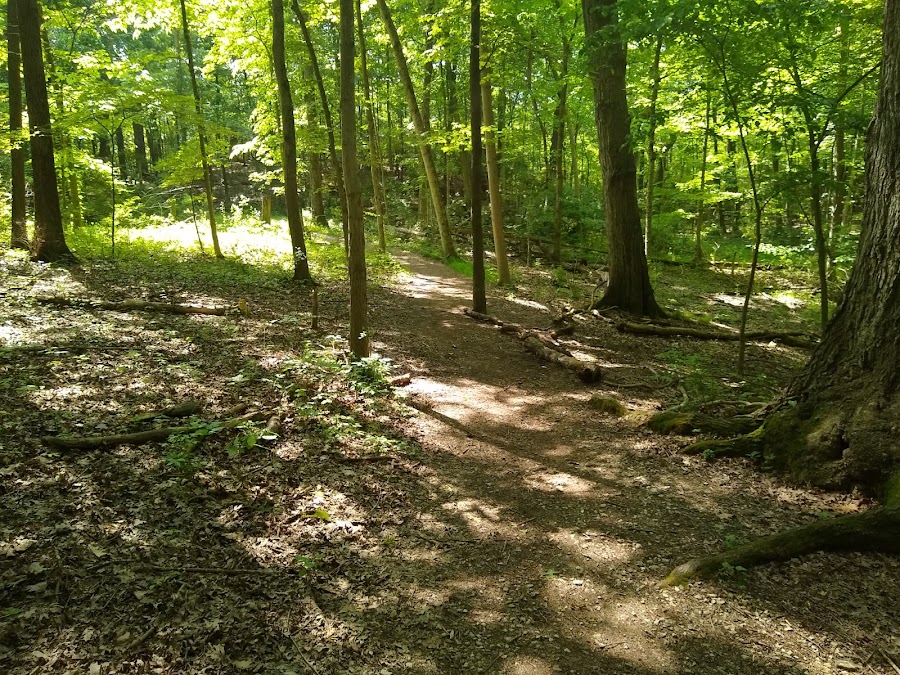 Big Run Park