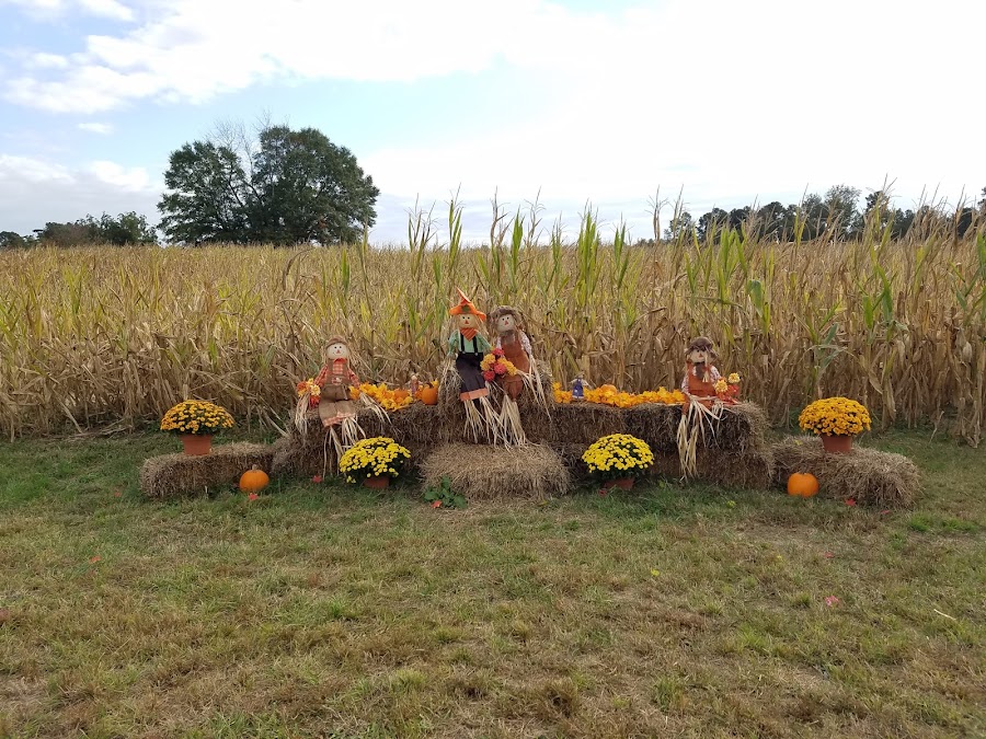 Crossroads Corn Maze