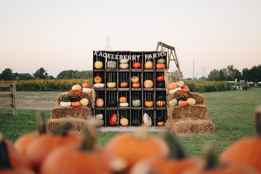 Kackleberry Farms