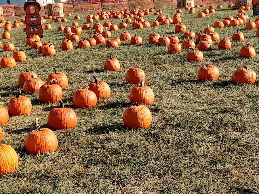 Niederman Family Farm