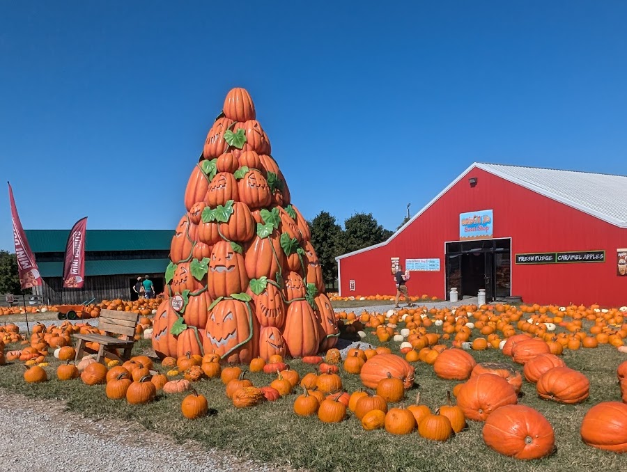 Honeysuckle Hill Farm