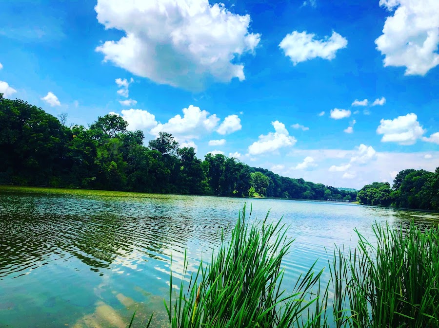 Canonsburg Lake