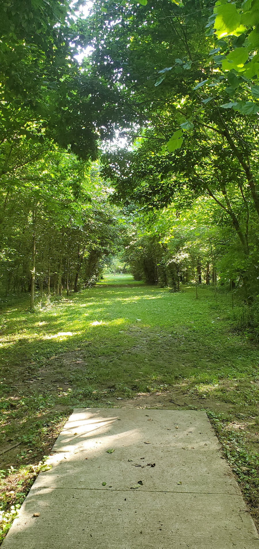 Ryan's Course - Disc Golf Course