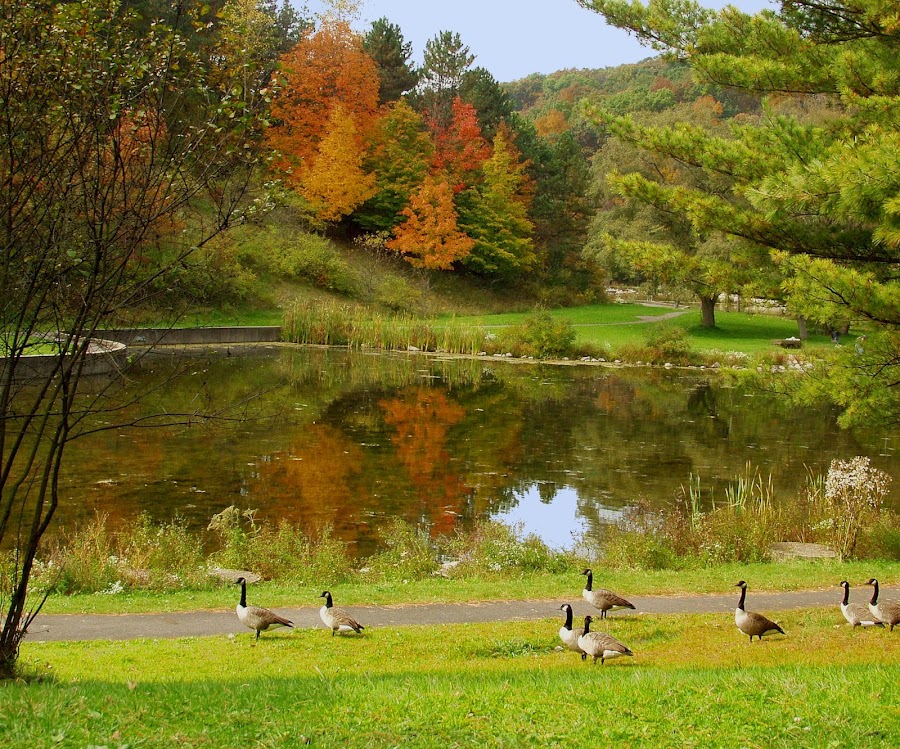Deer Lakes Park