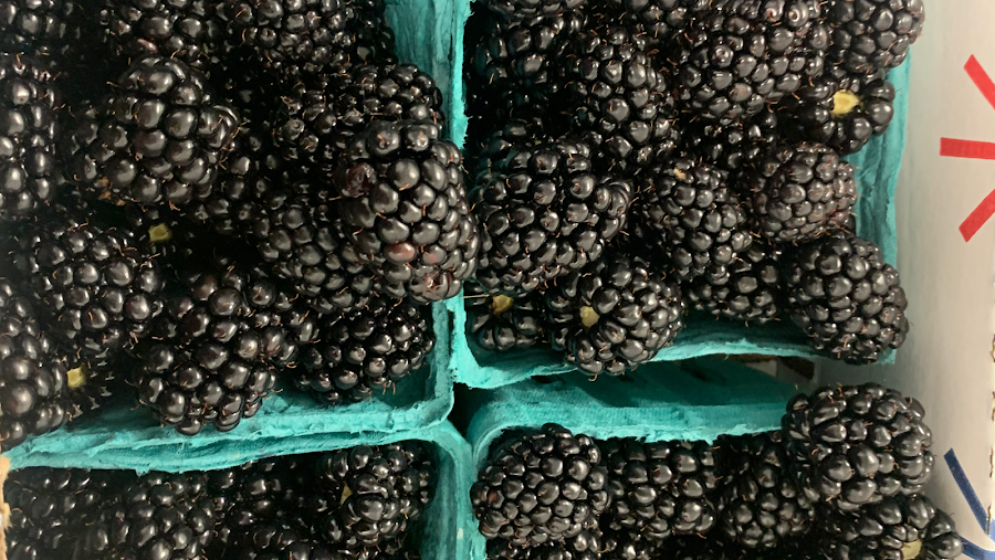 The Berry Farm