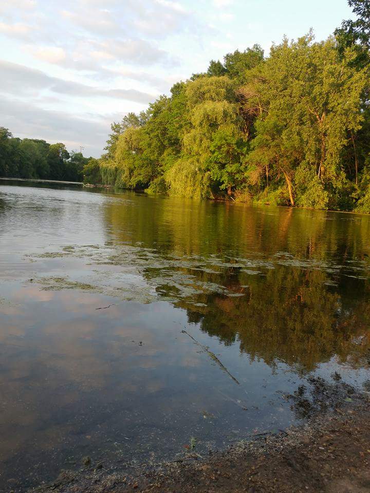Wilson Park