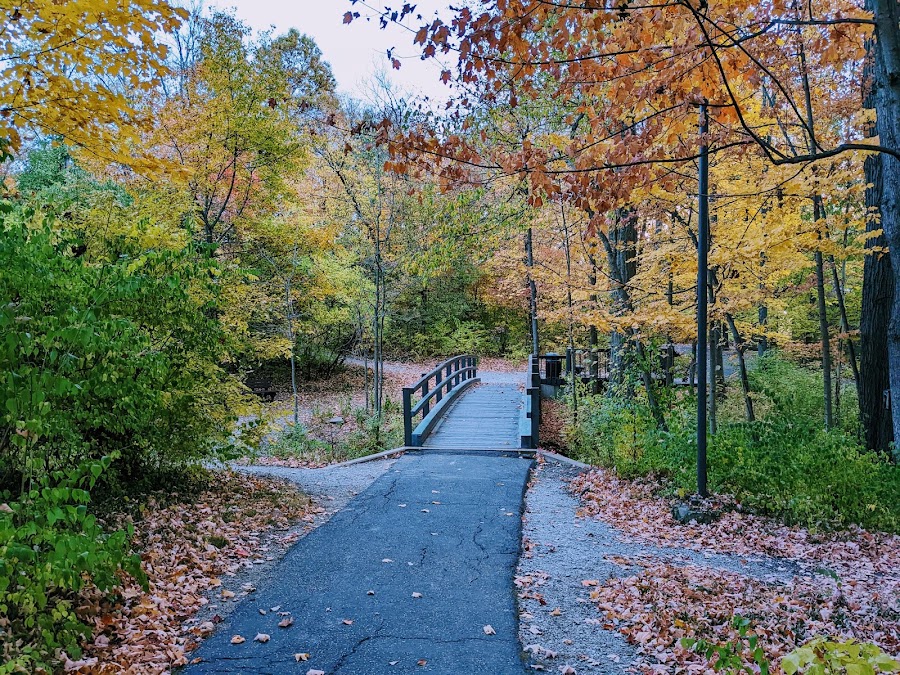 Blue Ash Nature Park