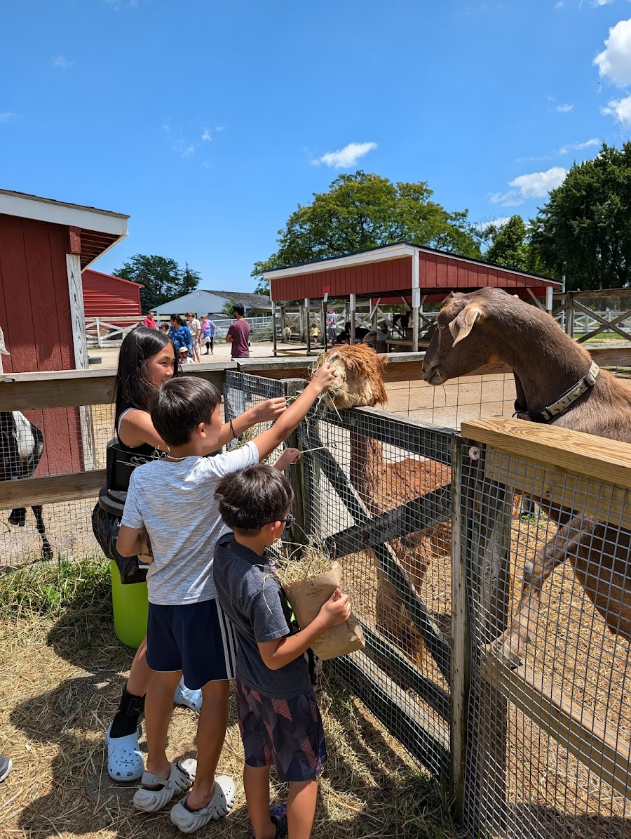Lambs Farm
