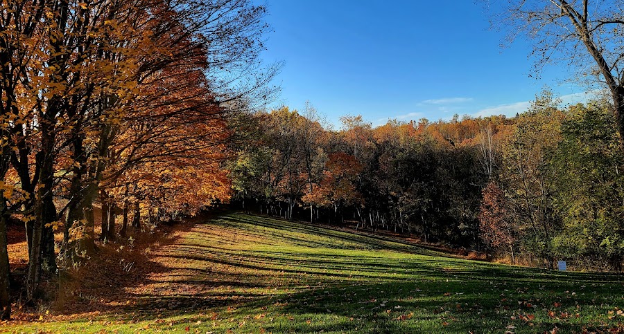 Monroeville Park Disc Golf Course