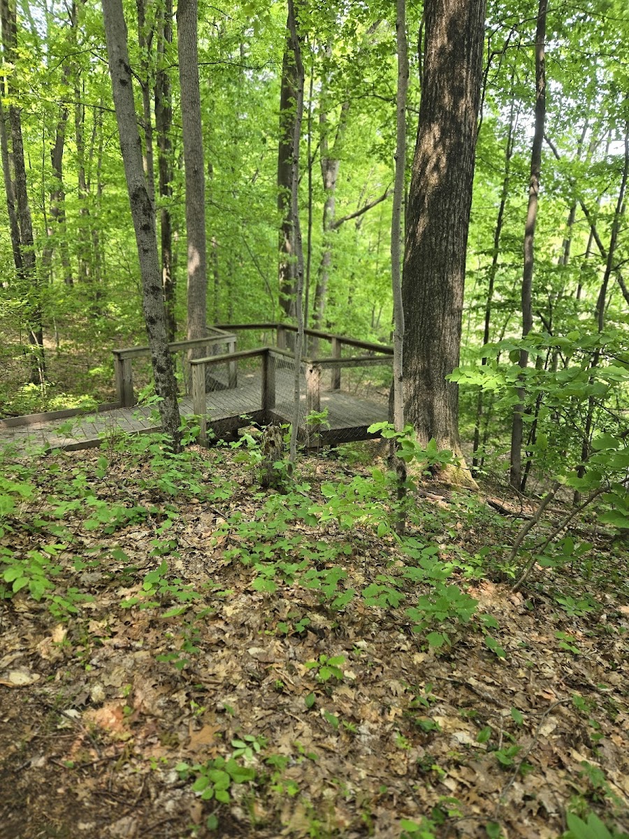 Ensley Township Nature Preserve