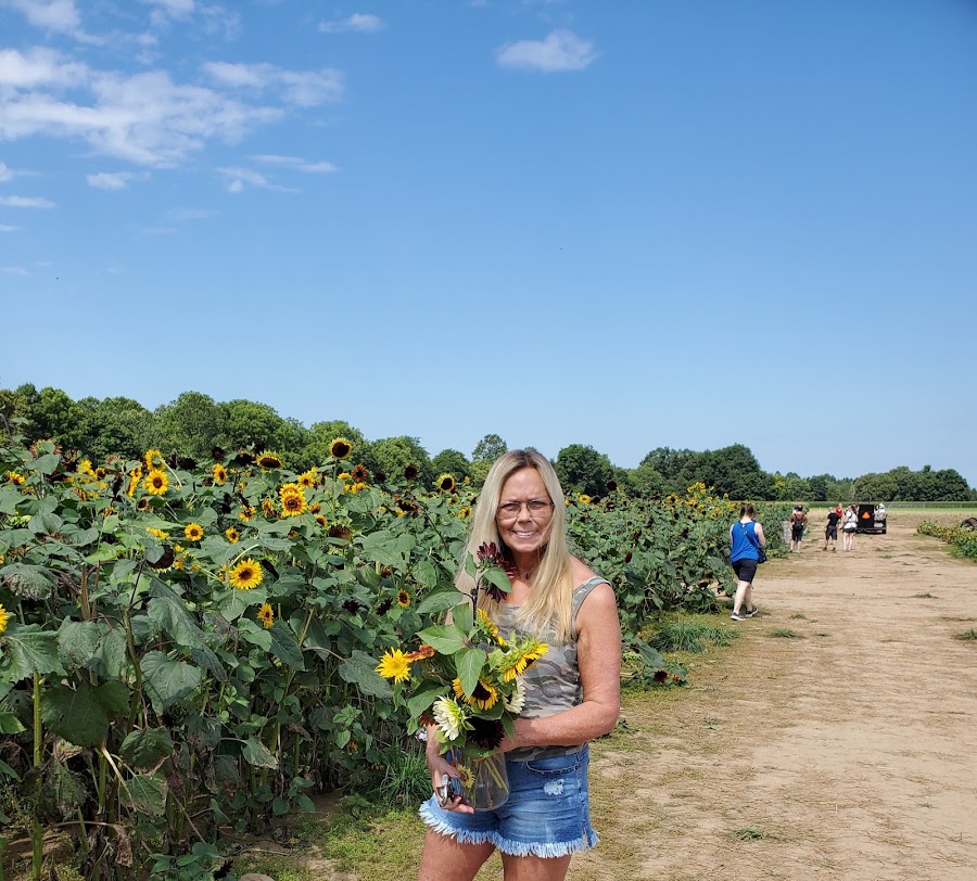 The Patch on 37 (Lynd Fruit Farm)