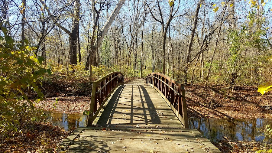Flowing Well Park