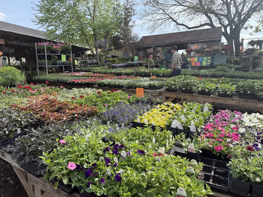Shadyside Nursery