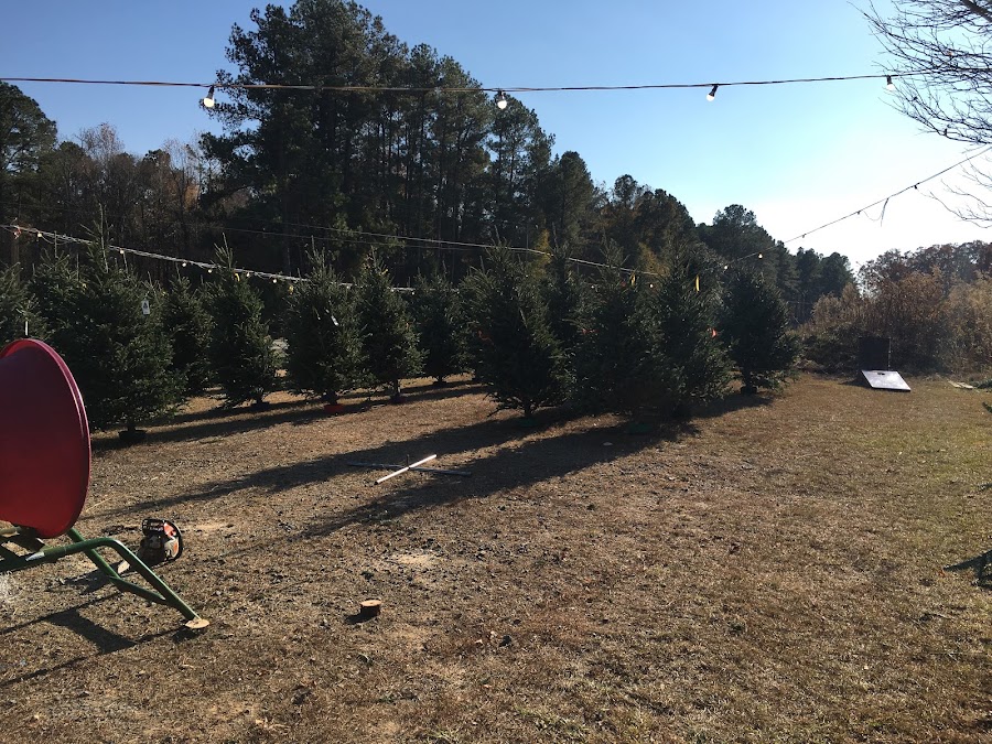 Elk Mountain Christmas Trees