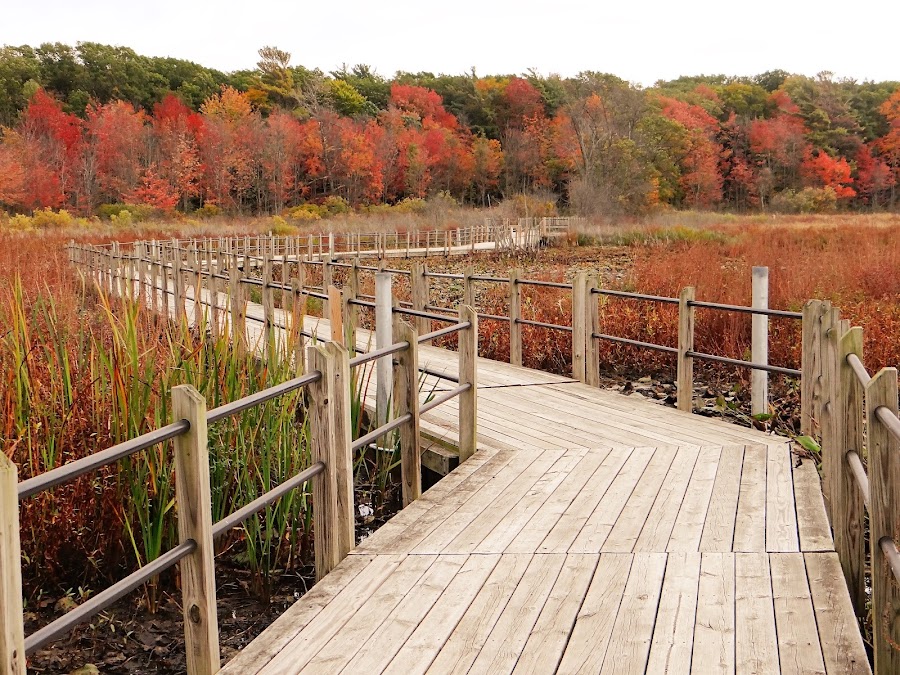 Hofma Preserve