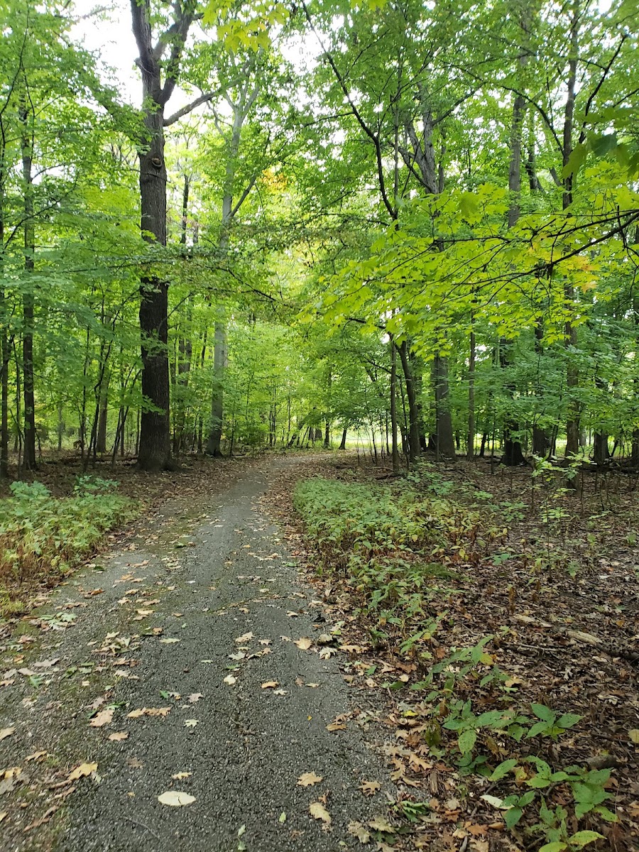 Forest Hill Park