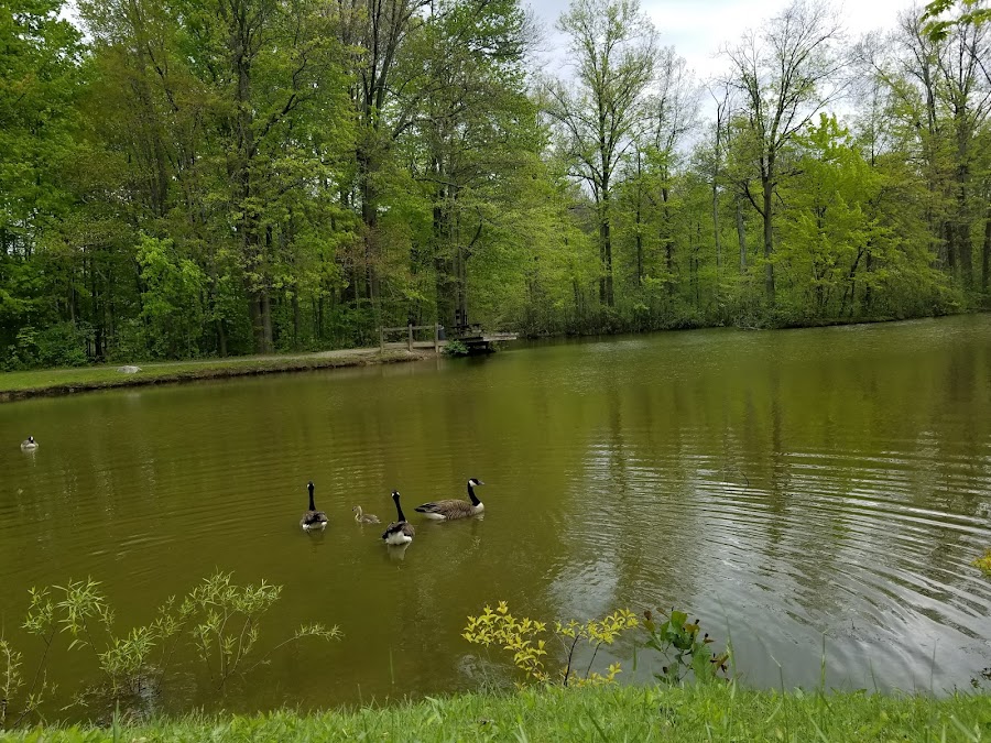 Bradley Woods Reservation