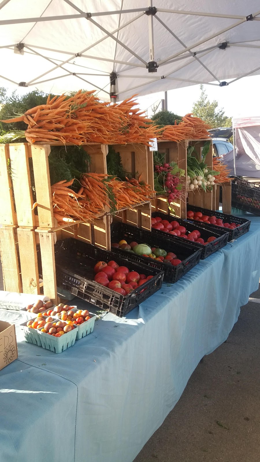 Binford Farmers Market