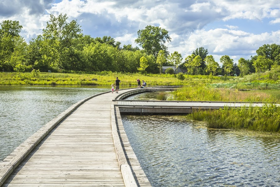 Central Park Boardwalk