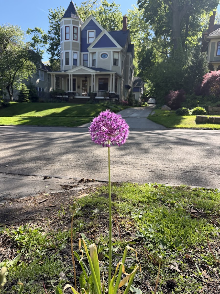 Cleveland Heights