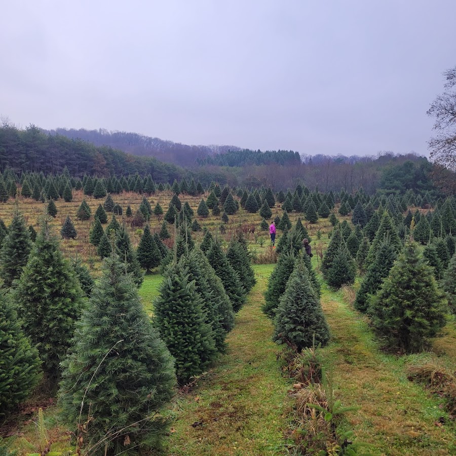 Woffords Christmas Tree Farm