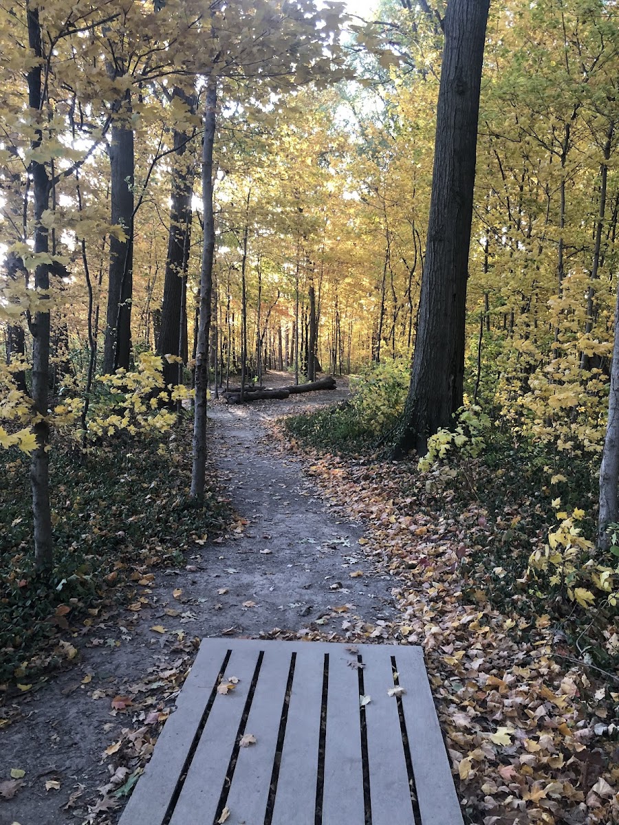 Sahm Park Disc Golf Course by Prodigy