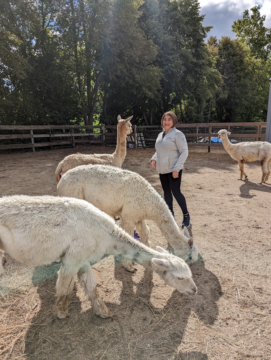 Magic Meadows Alpacas