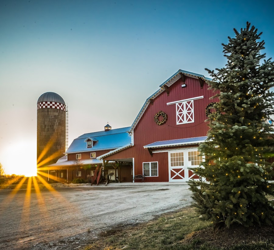 Fun Farm Pumpkin Patch