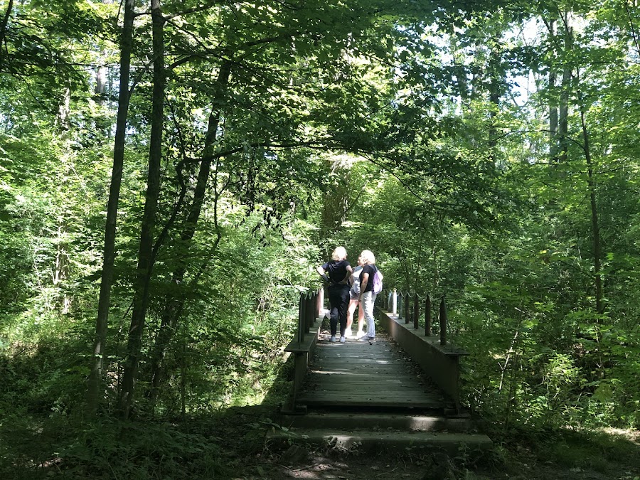 Oberlin Arboretum