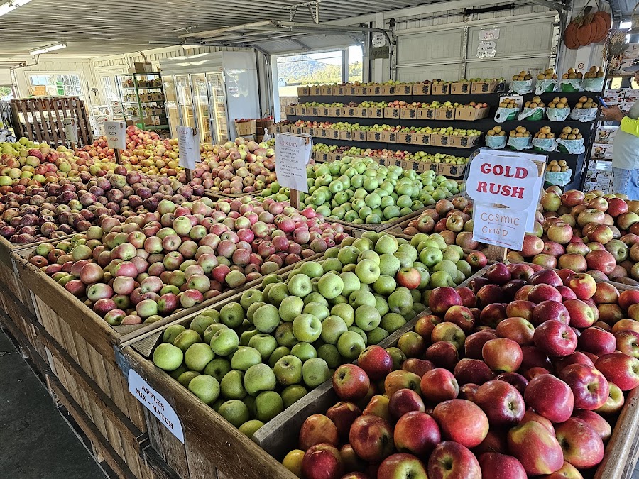 Knob Creek Orchard
