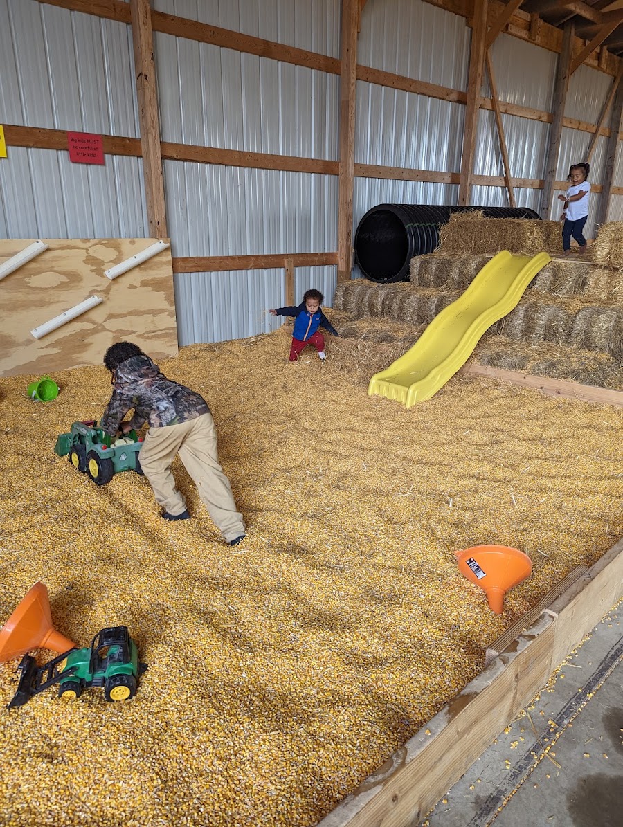 Fleitz Pumpkin Farm