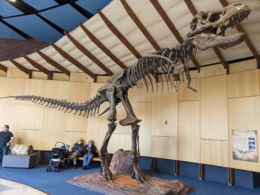 The Schiele Museum of Natural History & Planetarium