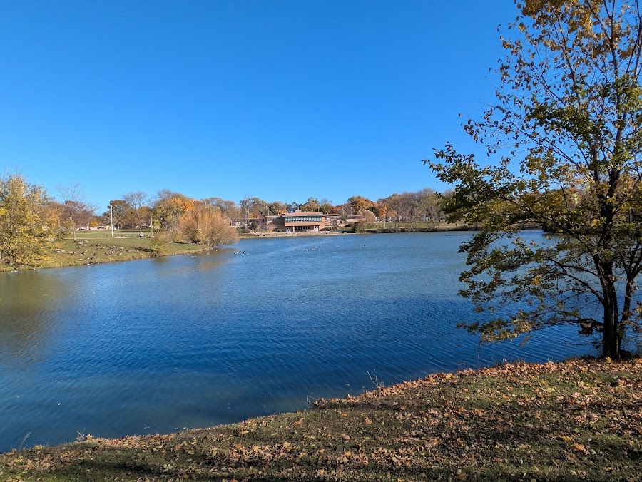 McCarty Pond