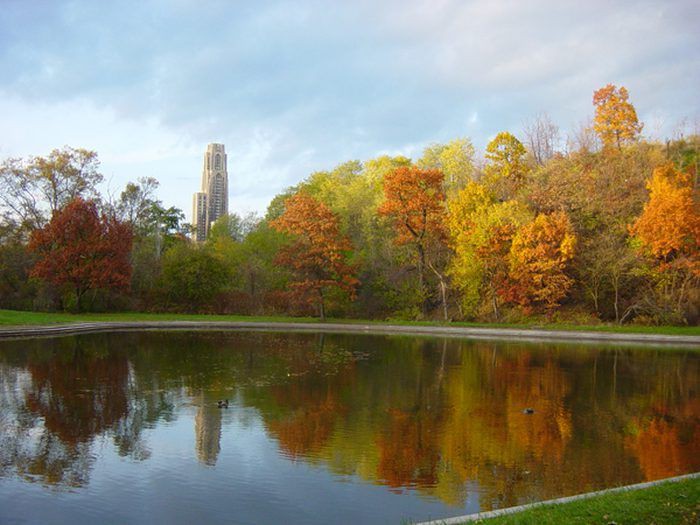 Schenley Park