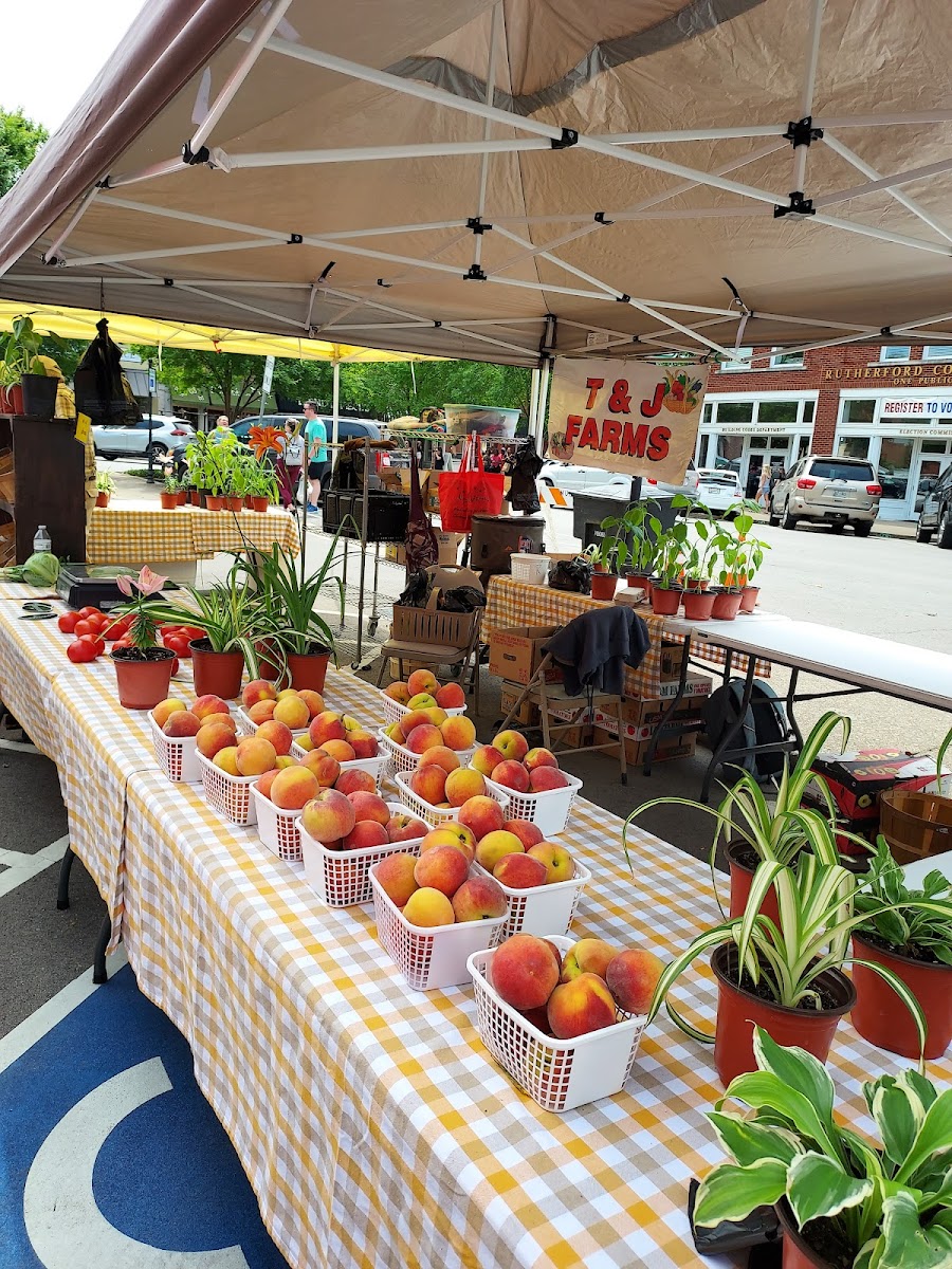 Main Street Murfreesboro Saturday Market