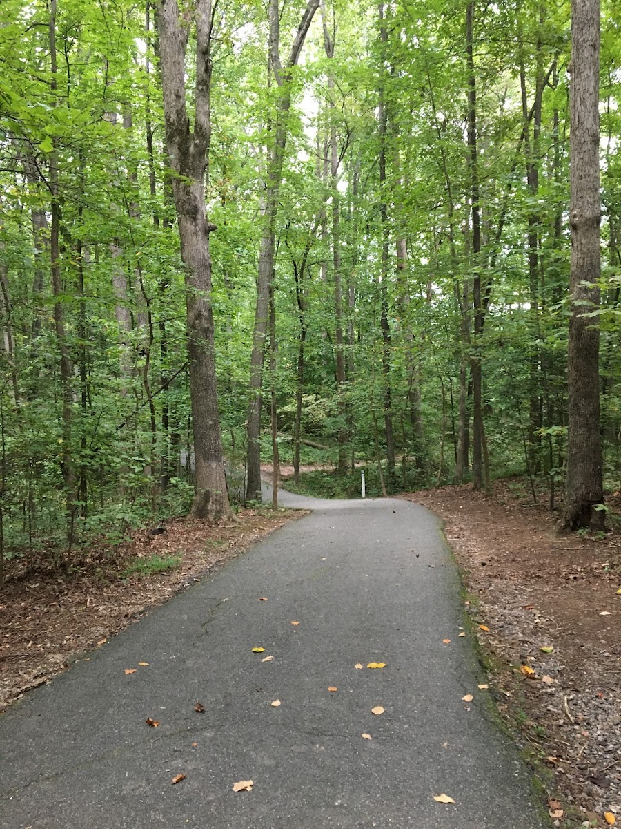 Rockwood Park