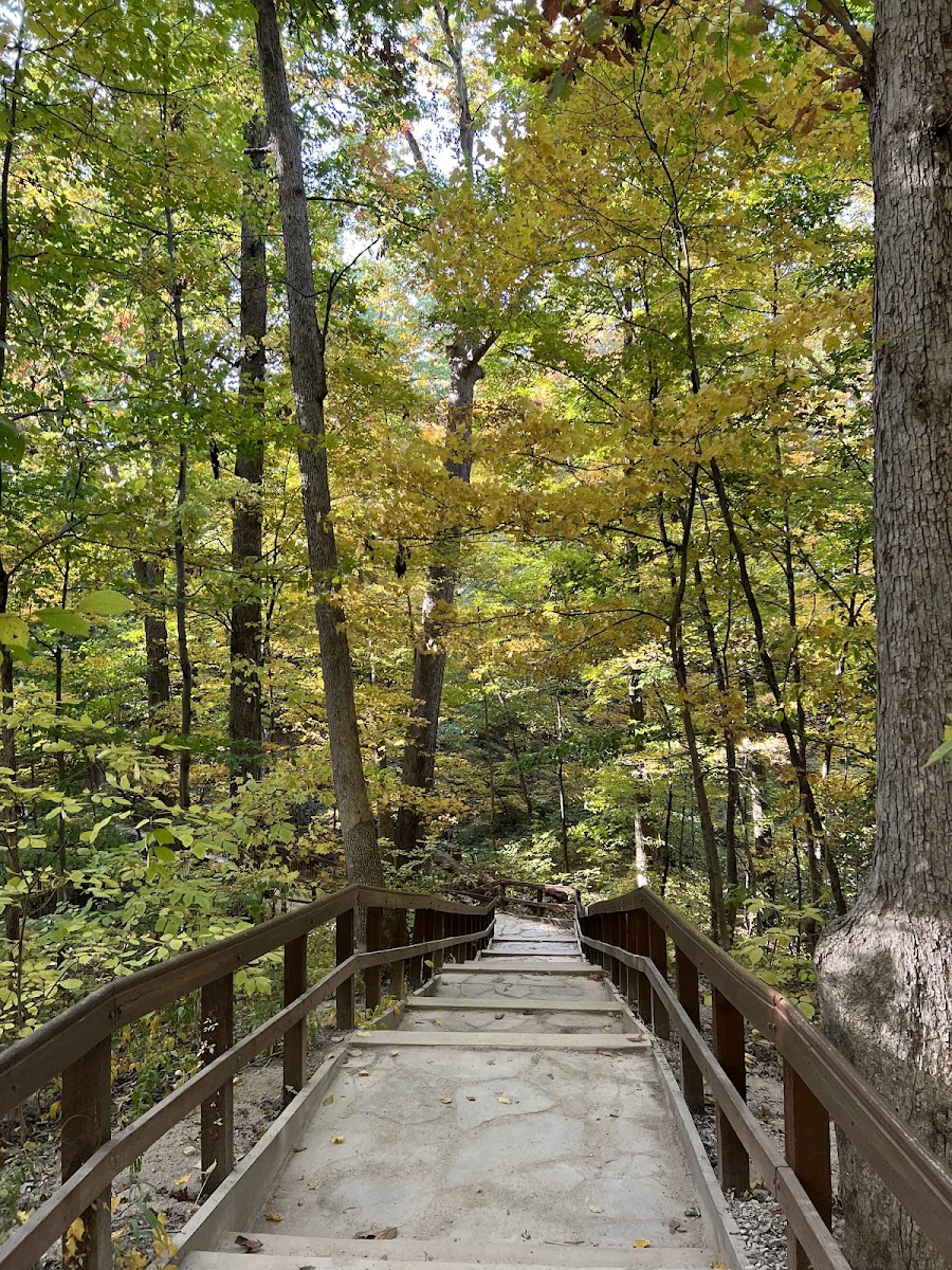 Highbanks Metro Park