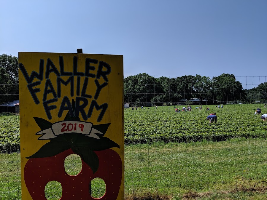Waller Family Farm