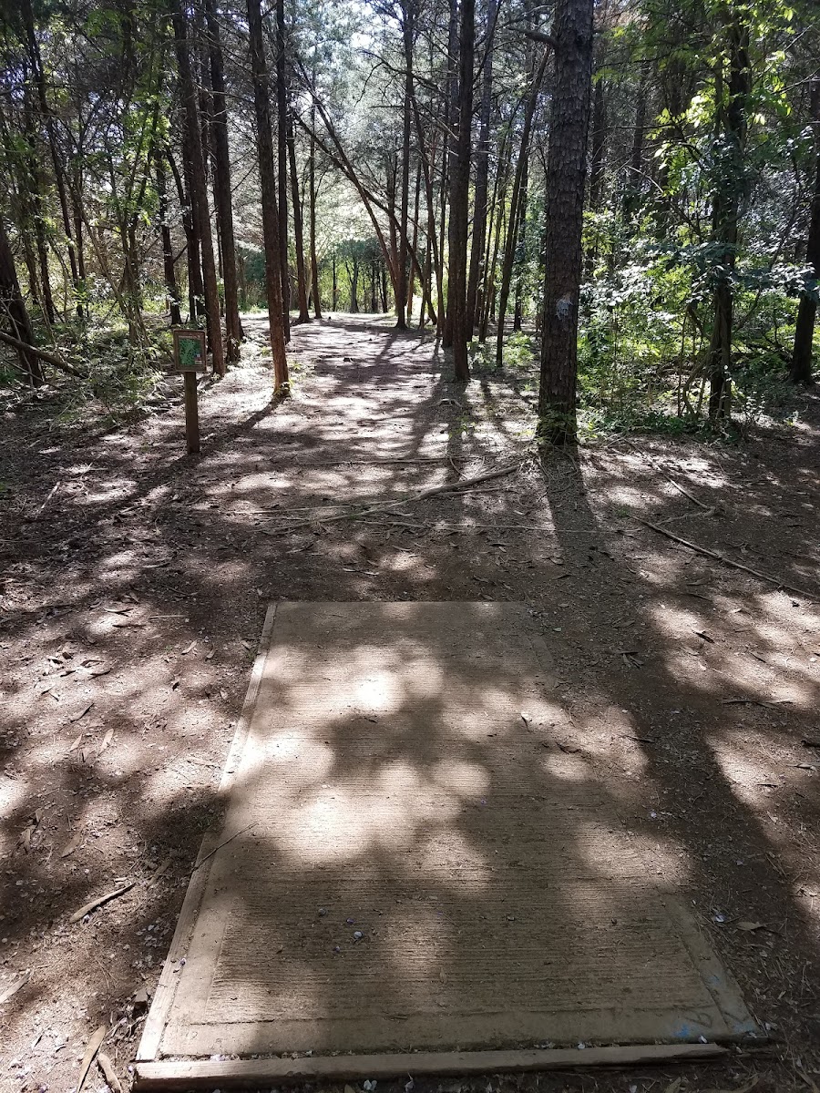 Renaissance Park Disc Golf Course - Red