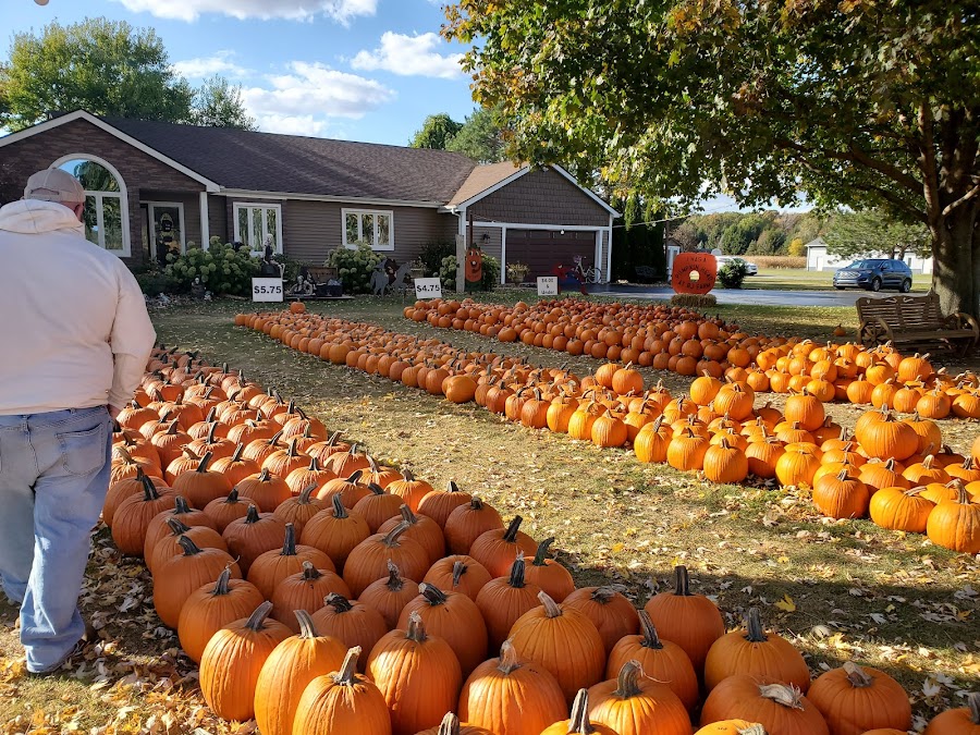 B J Farm