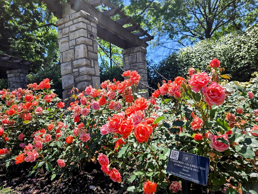 Laura Conyers Smith Municipal Rose Garden
