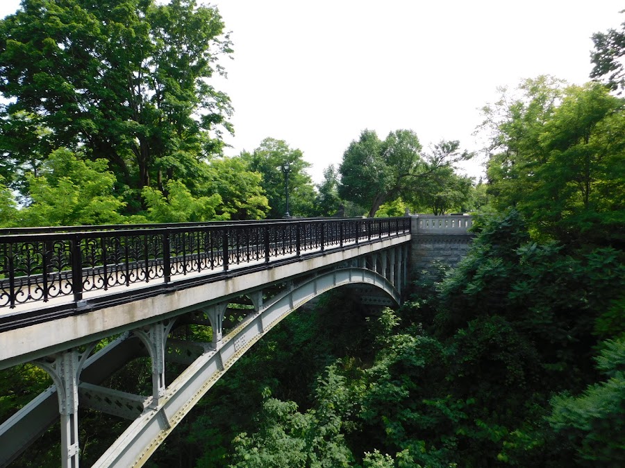 Lake Park
