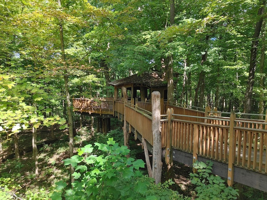 Mt. Airy Forest