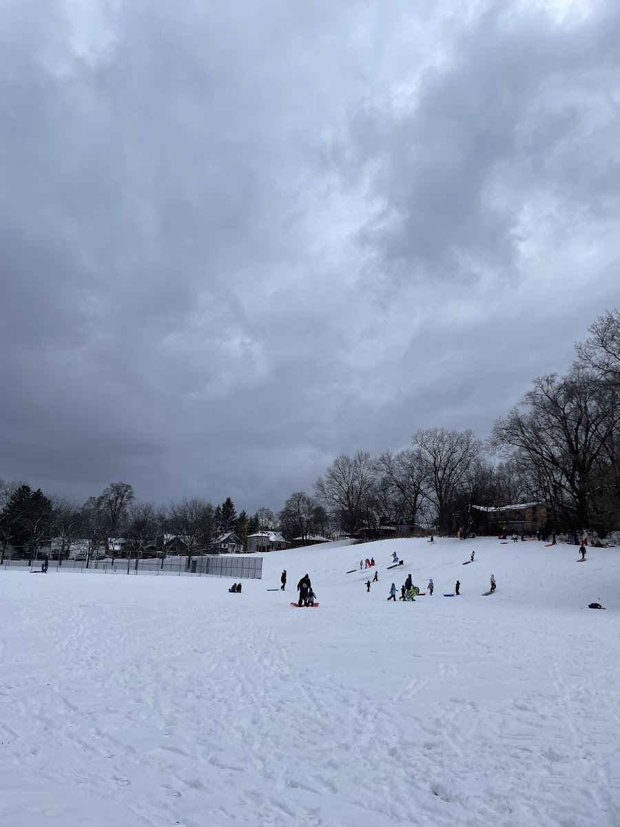 Mulick Park
