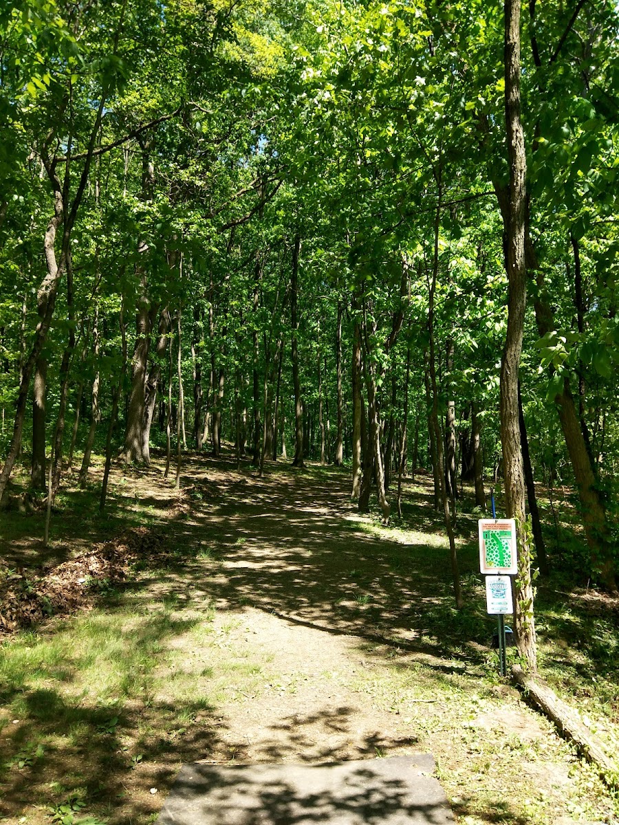 Two Mile Run Extension Disc Golf Course