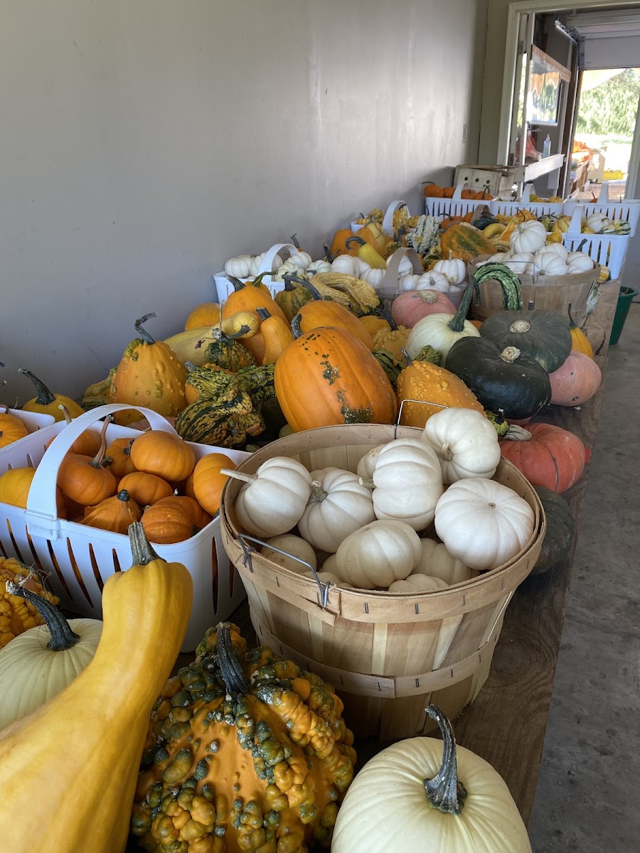 Albert's Farmers Market