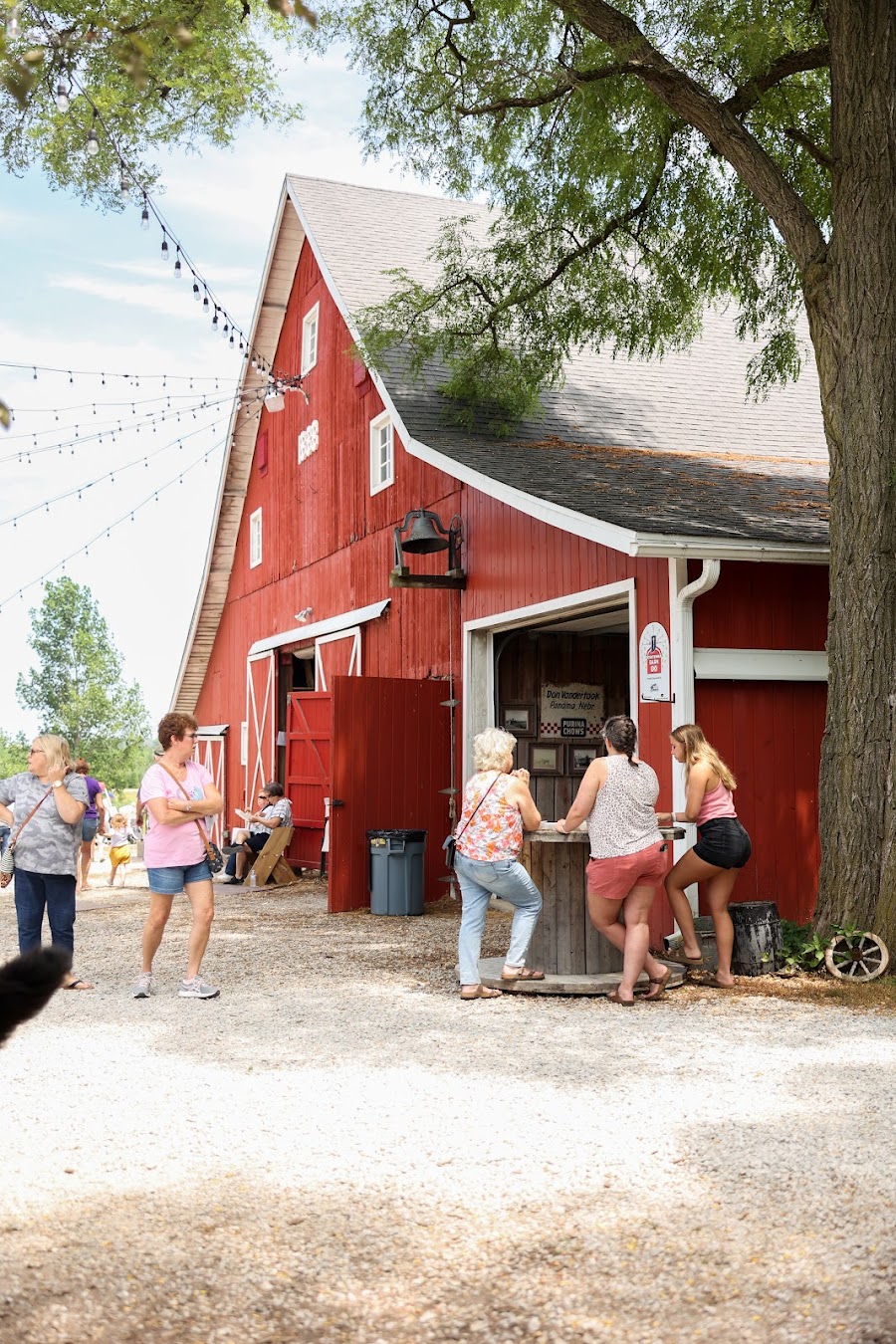 Dull's Tree Farm and Pumpkin Harvest